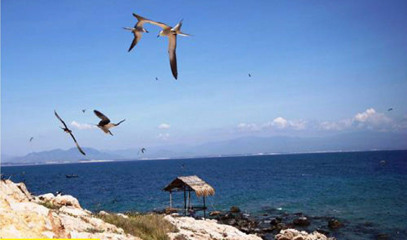 Tour Hanoi / HCM - Nha Trang - Nha Phu Bay 3N2Đ